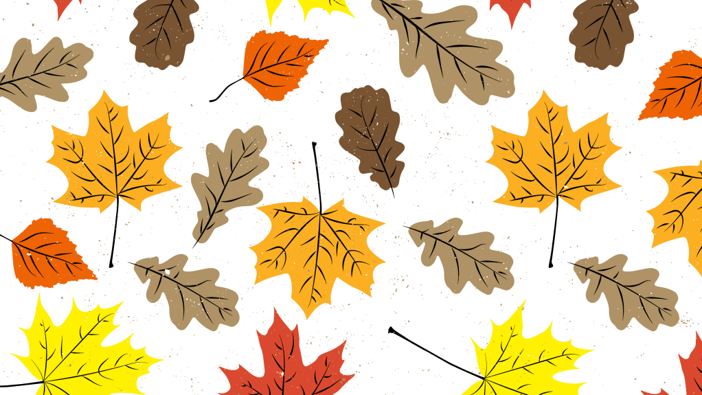 Fall Foliage